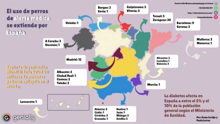 Este mapa de España representa la cantidad de perros de alerta médica (Jack Russell) que la Fundación Canem ha enviado a las distintas Comunidades Autónomas de España.